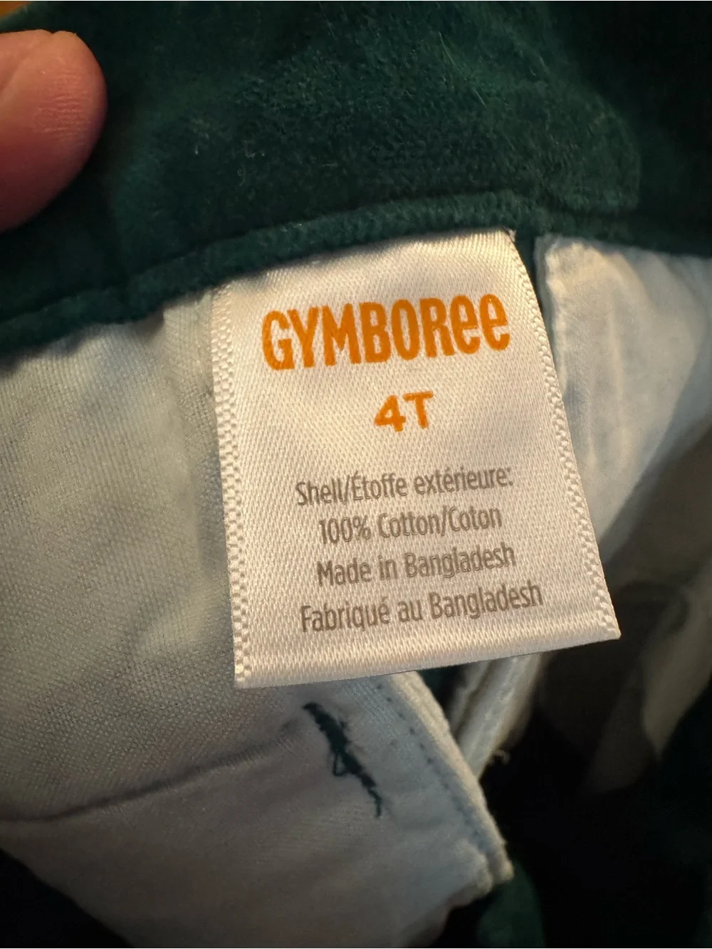 Classic Green Velvet Kids Vest and Pants Size 4T Gymboree C2